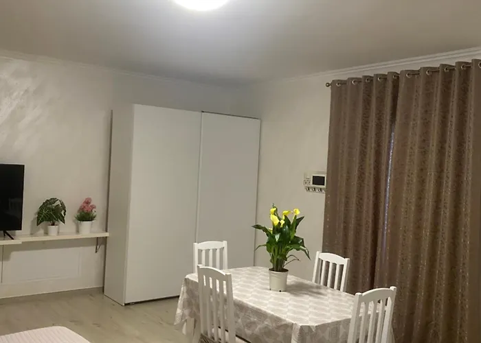 Casa Miron - Goelba アパート *