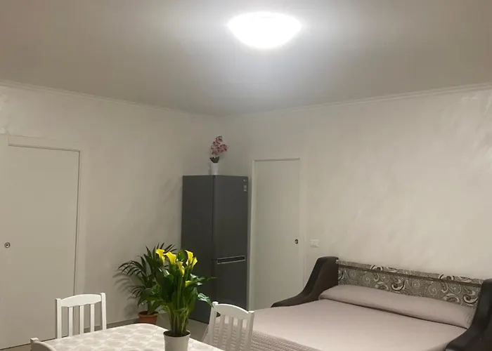 Casa Miron - Goelba Appartement *